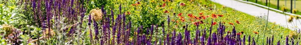 Partnersuche ab 50: Online einen Partner finden