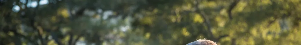 Partnersuche ab 50: Online einen Partner finden